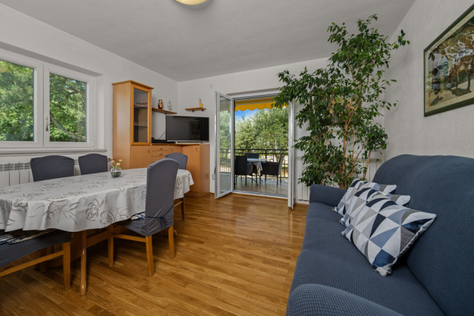 The Warm Atmosphere of the Interior, Greenstone House Presika Labin