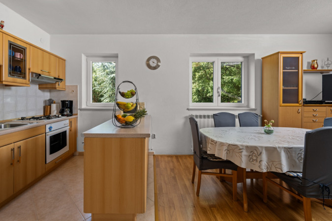 Interior, Greenstone House Presika Labin
